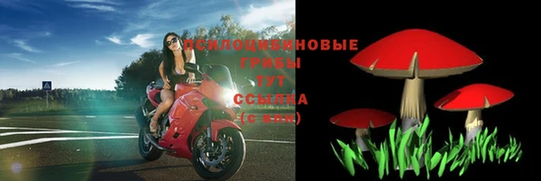 метадон Аркадак