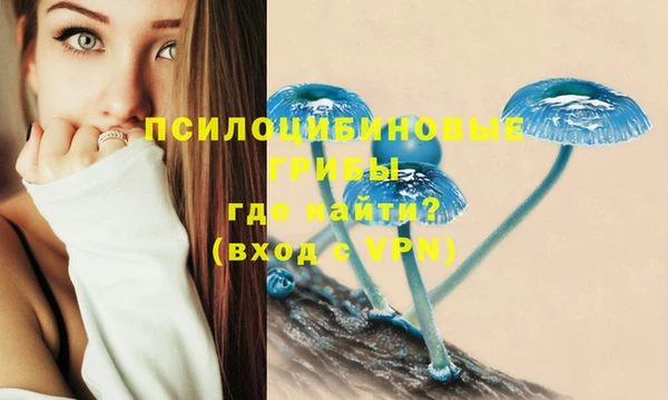 ECSTASY Арсеньев