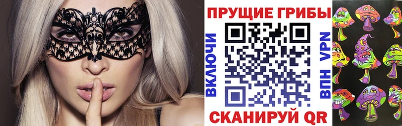 где купить наркоту  Тейково  Галлюциногенные грибы GOLDEN TEACHER 